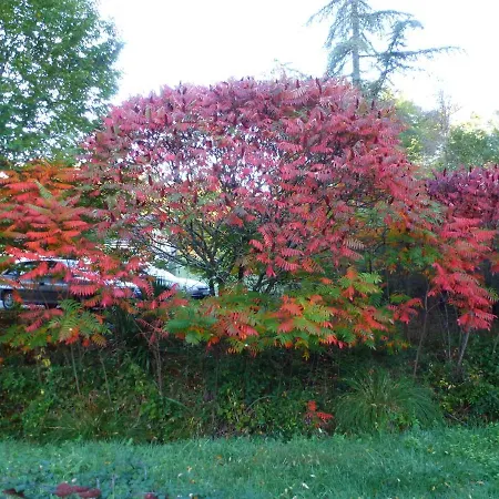 Village de vacances La Petite Fagette Frayssinet-le-Gélat